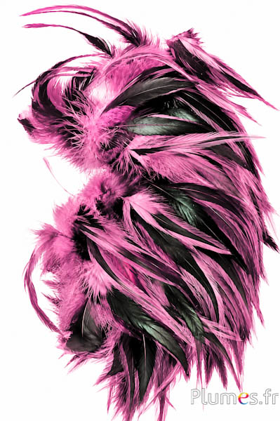 Gallo - 10-15 cm - rosa vecchia